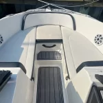 2016 Sea Ray 21 SPX & Trailer