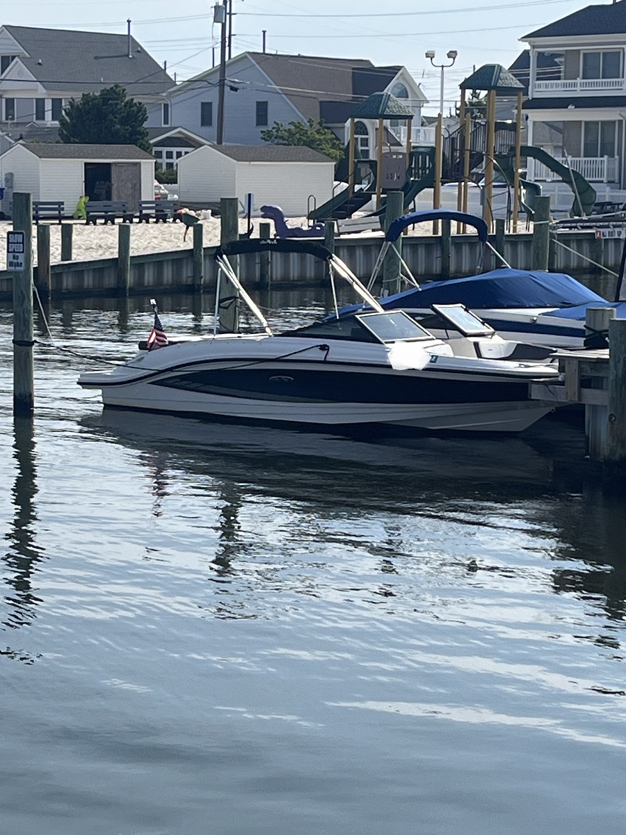 2016 Sea Ray 21 SPX & Trailer