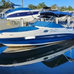 2007 Sea Ray 240 Sundeck