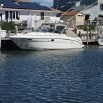 2000 Sea Ray 290 Amberjack 1