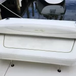 2000 Sea Ray 290 Amberjack 7