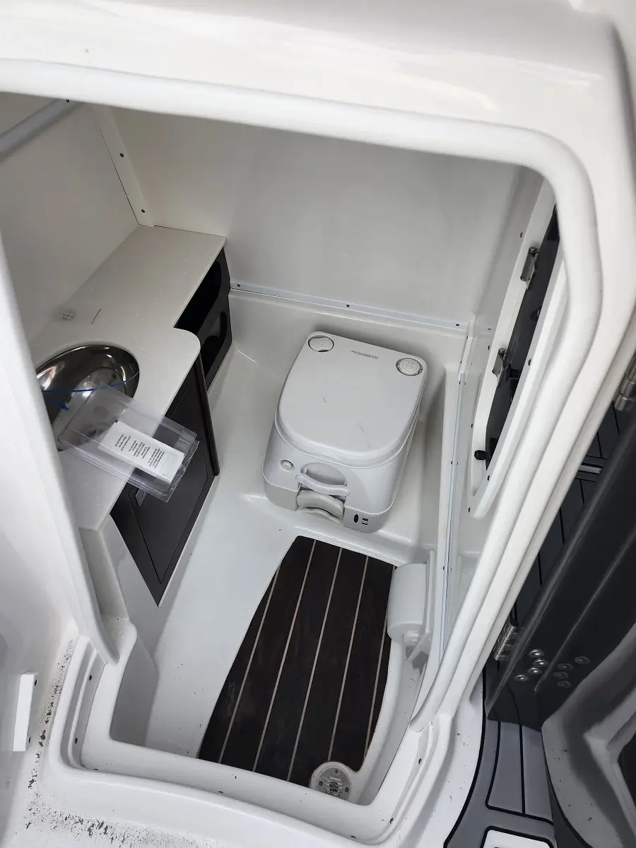 Compact marine toilet (Dometic) in a small white head, with a sink and countertop to the left and a dark floor mat nearby.