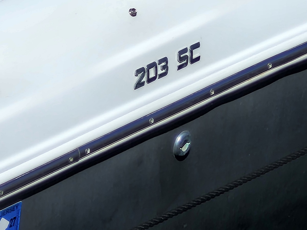 Car badge on a white car reading '203 SE' near the door seam (informational)