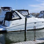 White Larson motorboat docked at a marina with a black canopy and calm water in the foreground.